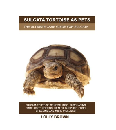 Sulcata Tortoise as Pets