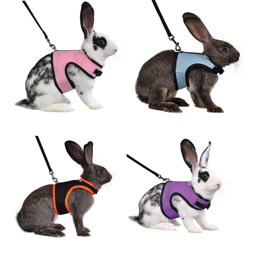Niteangel Rabbit Harness