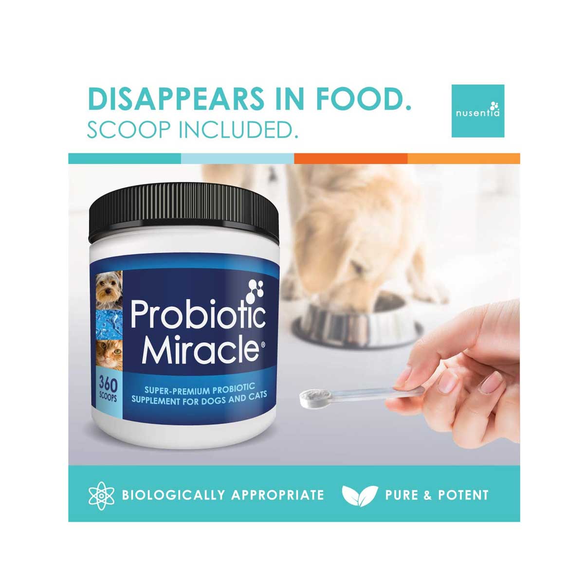 Probiotic Miracle