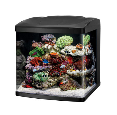Coralife Biocube